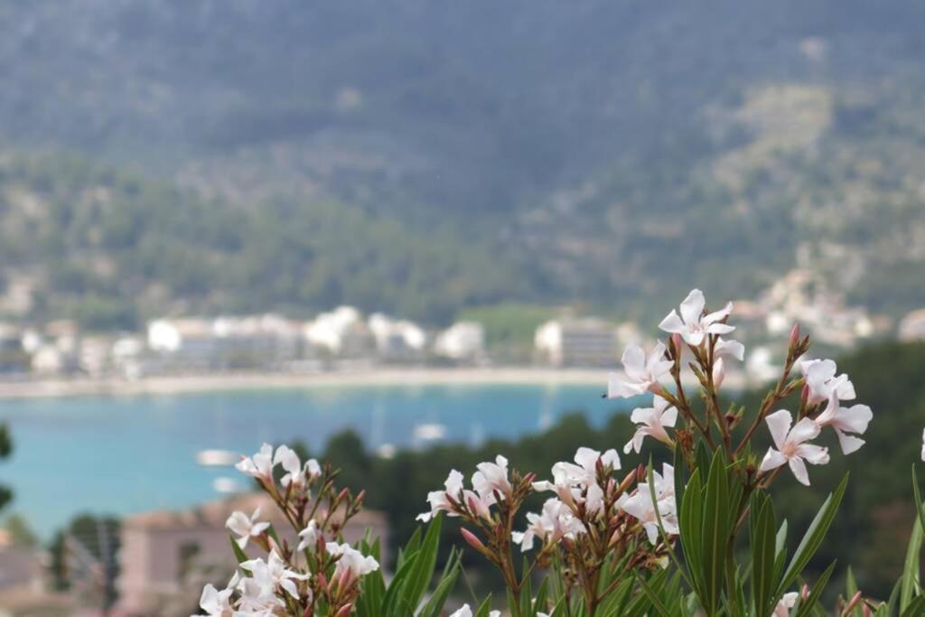 Puerto Soller Seaview Apartment: Private Terrace & Pool Port De Soller Exterior photo